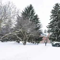 Michigan State University - East Lansing