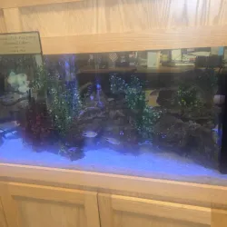 Eastpointe Public Library - Eastpointe