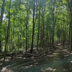 Lakeshore Park - Eastpointe