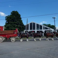 Macomb County Fairgrounds - Eastpointe