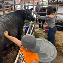 Macomb County Fairgrounds - Eastpointe