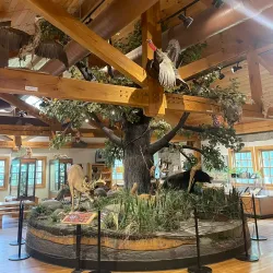 Farmington Hills Nature Center - Farmington Hills