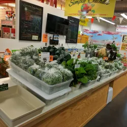 Flint Farmers' Market - Flint