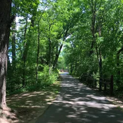 Stepping Stone Falls - Flint