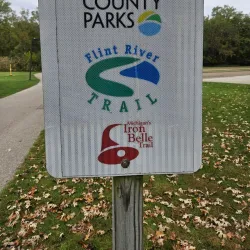 Stepping Stone Falls - Flint