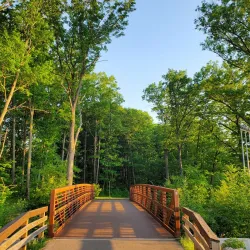 Stepping Stone Falls - Flint