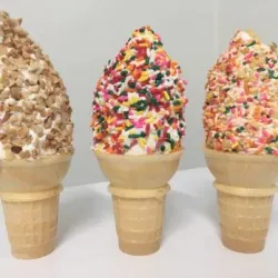 Fowlerville Ice Arena - Fowlerville