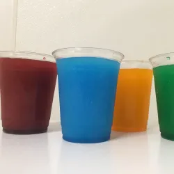 Fowlerville Ice Arena - Fowlerville