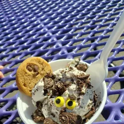 Fowlerville Ice Arena - Fowlerville