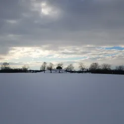 Fowlerville Village Park - Fowlerville