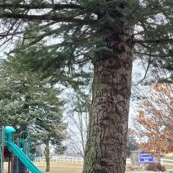 Fowlerville Village Park - Fowlerville