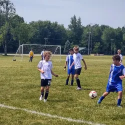 Fowlerville Village Park - Fowlerville