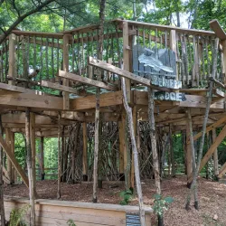 Harris Nature Center - Fowlerville