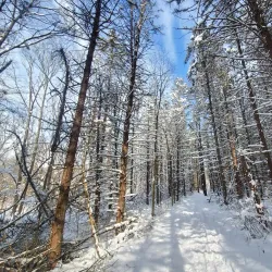 Harris Nature Center - Fowlerville
