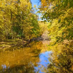 Harris Nature Center - Fowlerville