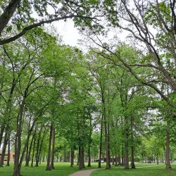 Garden City Park - Garden City