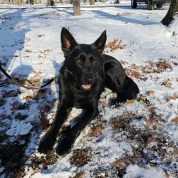 Garden City Park - Garden City