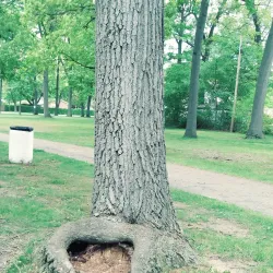 Garden City Park - Garden City