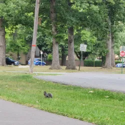 Garden City Park - Garden City