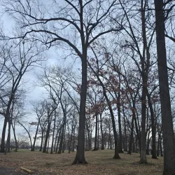 Garden City Park - Garden City