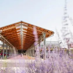 Downtown Market Grand Rapids - Grand Rapids