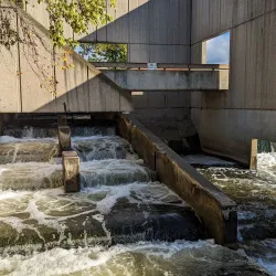 Fish Ladder Park - Grand Rapids