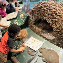 Grand Rapids Public Museum - Grand Rapids