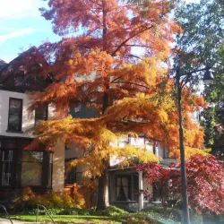 Heritage Hill Historic District - Grand Rapids