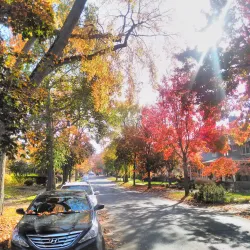 Heritage Hill Historic District - Grand Rapids