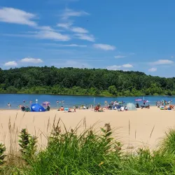 Millennium Park - Grand Rapids