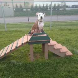 Hazel Park Dog Park - Hazel Park