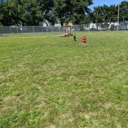 Hazel Park Dog Park - Hazel Park