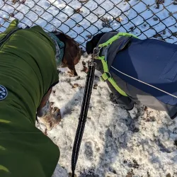 Hazel Park Dog Park - Hazel Park