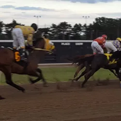 Hazel Park Raceway (Historic Site) - Hazel Park