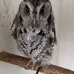 DeGraaf Nature Center - Holland