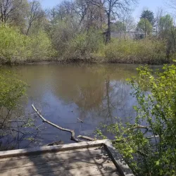 DeGraaf Nature Center - Holland