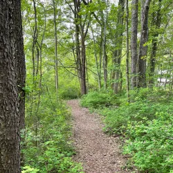DeGraaf Nature Center - Holland