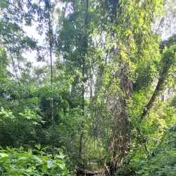 DeGraaf Nature Center - Holland