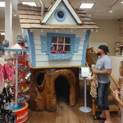 Downtown Holland - Holland