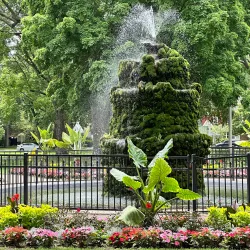 Nelson Park - Holland