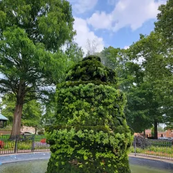 Nelson Park - Holland