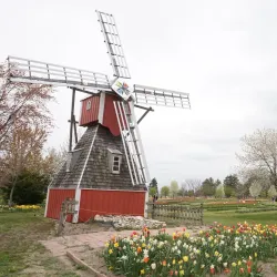 Veldheer Tulip Gardens - Holland