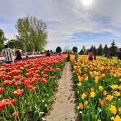 Windmill Island Gardens - Holland