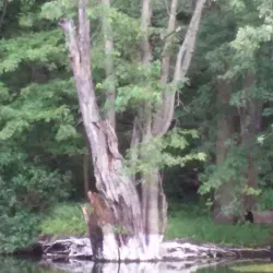 Baldwin Park - Huntington Woods