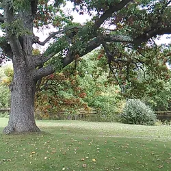 Baldwin Park - Huntington Woods