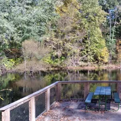 Baldwin Park - Huntington Woods