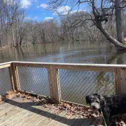 Baldwin Park - Huntington Woods