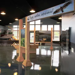 Lake Superior National Estuarine Research Reserve - Ironwood