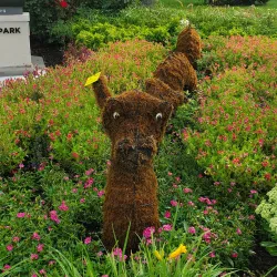 Bronson Park - Kalamazoo