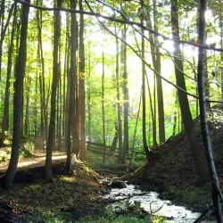 Kalamazoo Nature Center - Kalamazoo